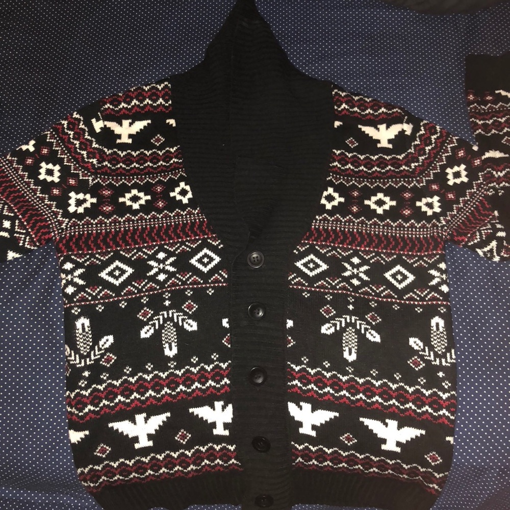 Feather/Native American Sweater